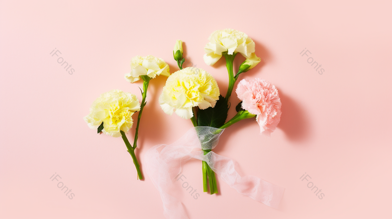 母亲节花朵康乃馨感恩感谢背景图,高清,摄影图,摄影图片,图片大全,摄影图免费下载